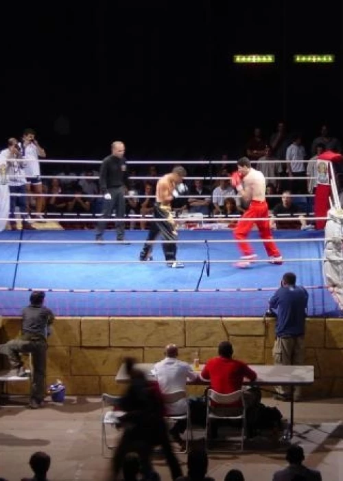 Absolute Fight