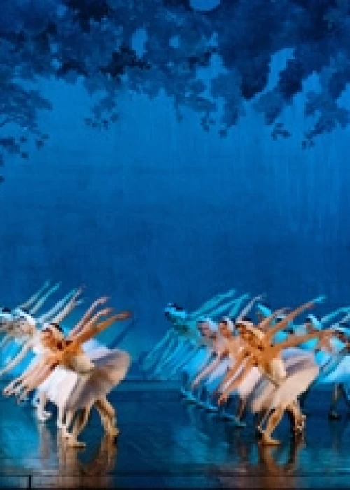 Le Lac des Cygnes