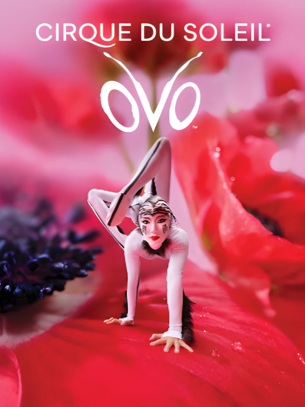 CIRQUE DU SOLEIL - OVO